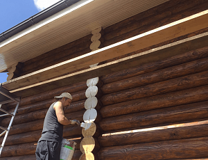 Белинка - картинка. Июль 2015. Использованы Lasur №24, TopLasur №11. Фото - Андрей Грищенко в рамках конкурса belinka. сделано сLOVEнией