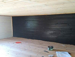 Июнь 2016. Использованы Lasur №11, №22. Фото - Игорь Трофимов  в рамках конкурса belinka. сделано сLOVEнией