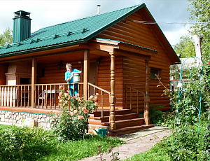 Творчество Belinka. Русская банька. Июль 2016. Использованы TopLasur №14. Фото - Елена Михайловна Худякова в рамках конкурса belinka. сделано сLOVEнией