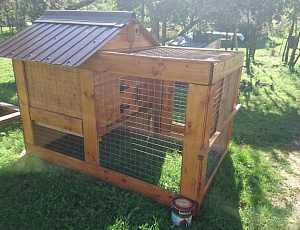 Домик Курочки Рябы. Сентябрь 2016. Использованы Toplasur №15, Toplasur UV plus. Фото - Елена Климова в рамках конкурса belinka. сделано сLOVEнией