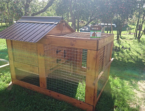 Домик Курочки Рябы. Сентябрь 2016. Использованы Toplasur №15, Toplasur UV plus. Фото - Елена Климова в рамках конкурса belinka. сделано сLOVEнией