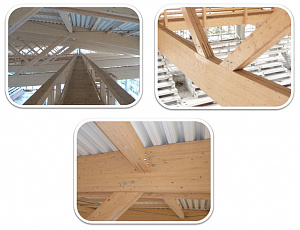 Клееные деревянные фермы в покрытии бассейна в Санкт-Петербурге, защищенные     Belinka exterier  №61