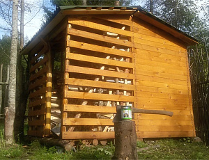 Дровяник. Использованы Base, Lasur №25. Фото - Инна Гусева в рамках конкурса belinka. сделано сLOVEнией