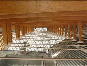 Дворец водных видов спорта (г.Казань) – 2012 г. Несущие клееные деревянные конструкции защищены Belinka Toplasur