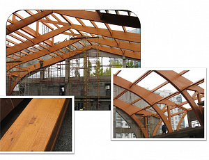 Дворец игровых видов спорта в Новоясенево (Москва) Конструкции защищены  Belinka Toplasur  №14