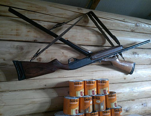 Апрель 2016. Использован Interier №61. Фото - Александр Юрьевич Попов в рамках конкурса "belinka. сделано сLOVEнией"