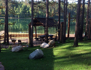 Банька на заливе. Июнь 2014. Использованы Base , TopLasur №24, масло для террасной доски. Фото - Максим Вячеславович Никитин в рамках конкурса belinka. сделано сLOVEнией